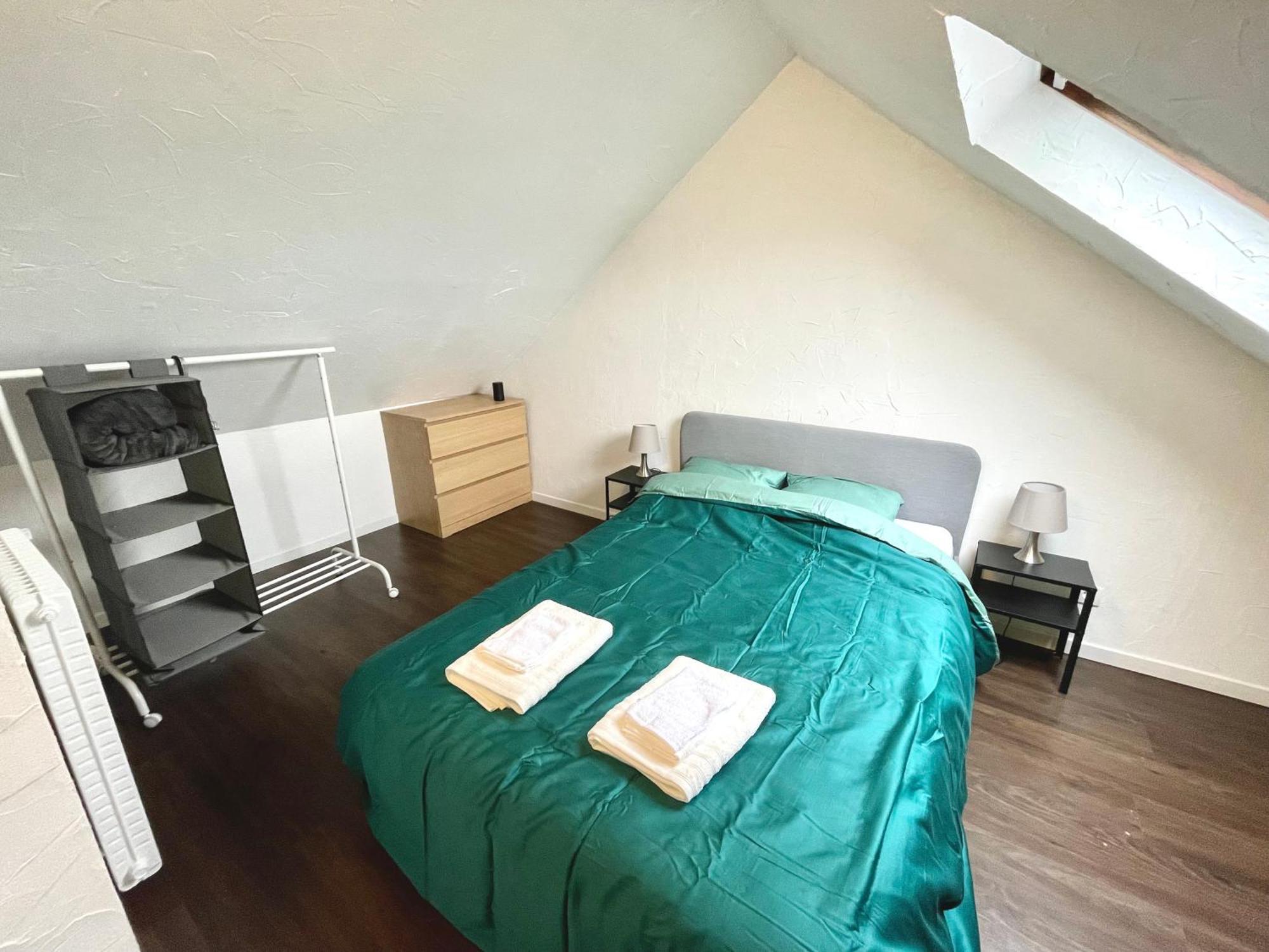 Appartement Duplex 90M2 - 3 Chambres - ミュルーズ エクステリア 写真
